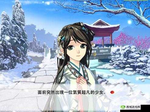 再续红楼梦：旧梦新篇之传奇延续