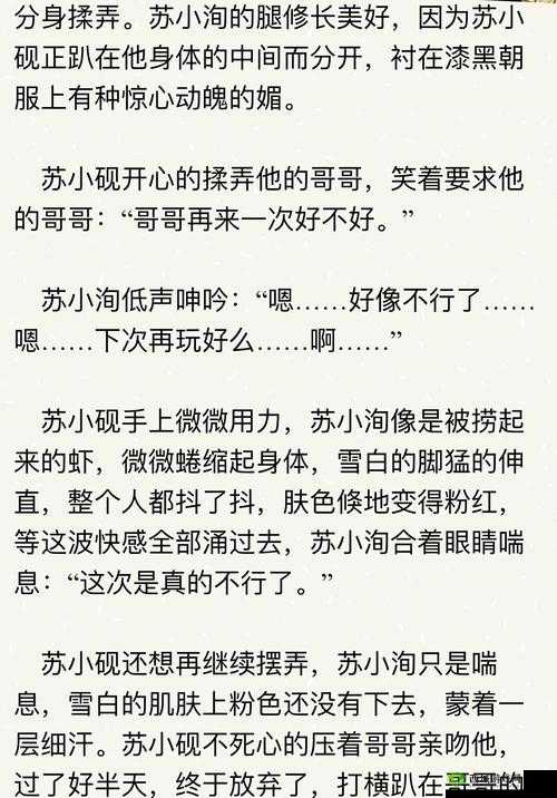 可不可以干湿你骨科太子：一场禁忌之恋的纠葛