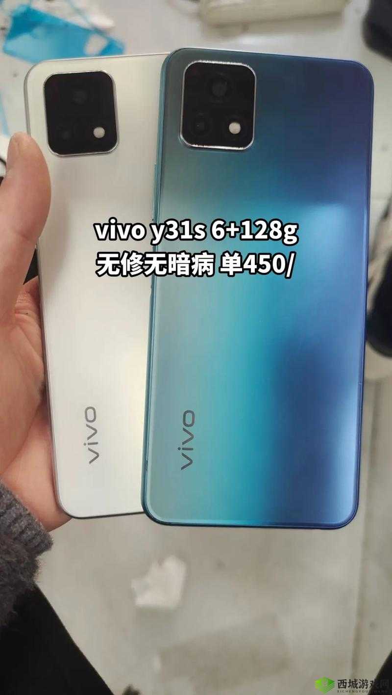 成色好的 y31s 标准：高品质手机的卓越之选