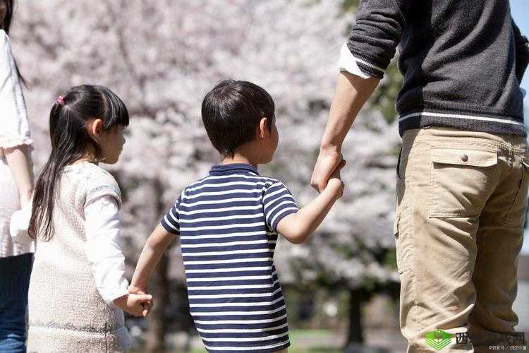 最新在线观看免费高清儿童：守护孩子的纯净视界