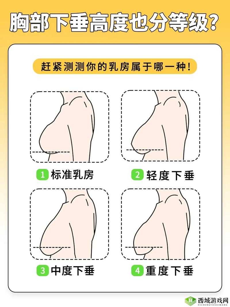 20 岁胸又软又下垂：为何年纪轻轻胸部却出现这种状况