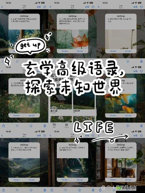 小白加密地址：探索未知的数字世界