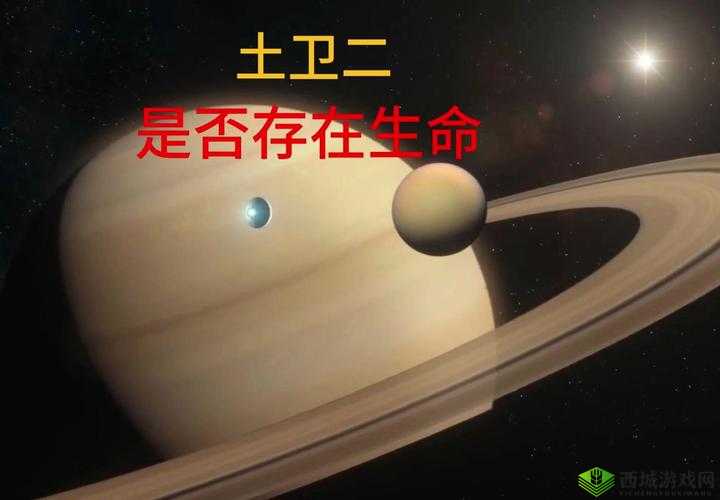 春动莲房，揭开生命的神秘面纱