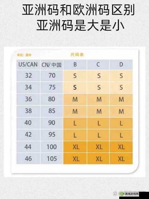 亚洲尺码、欧洲尺码适用场景大不同：你需要知道的尺寸秘密