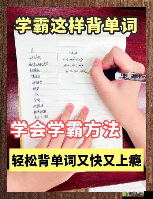 坐在学霸的棍子上背单词：独特学习方法背后的故事