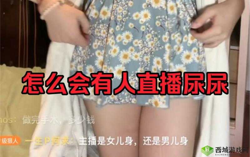 私人直播间哔哩哔哩免费：带来精彩无限的直播体验