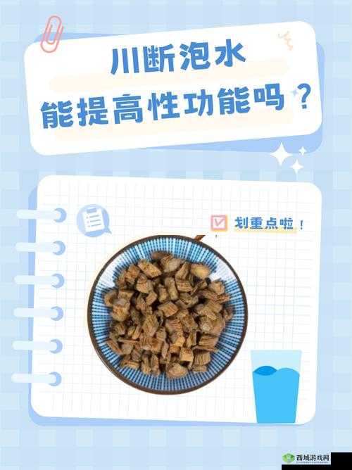 川断泡水能提高性功能吗：其功效与作用究竟如何