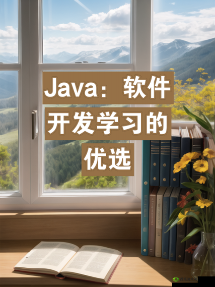 Java 下一页：探索编程世界的无限可能之旅