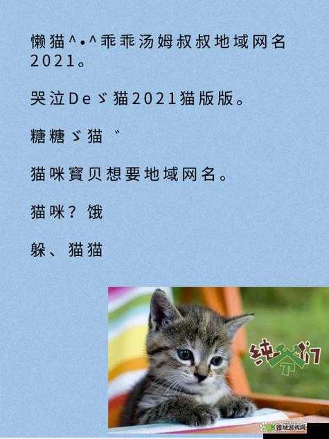 新版猫咪地域网名入口下载：带你畅游猫咪世界