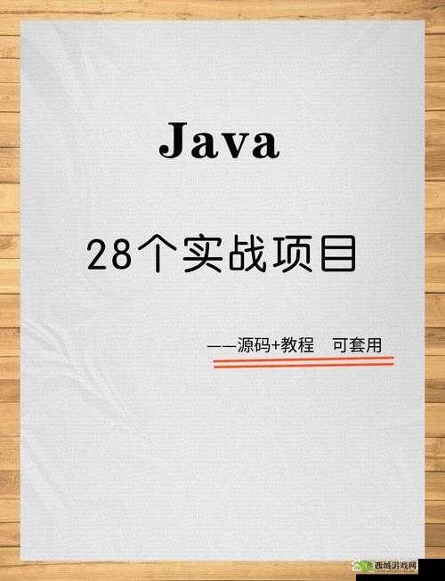 JavaGenericVisitorAdapter使用技巧详解：全面深度剖析与实战指南