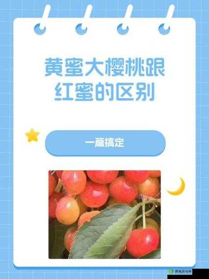 黄蜜大樱桃跟红蜜的区别：口感色泽大小甜度全解析