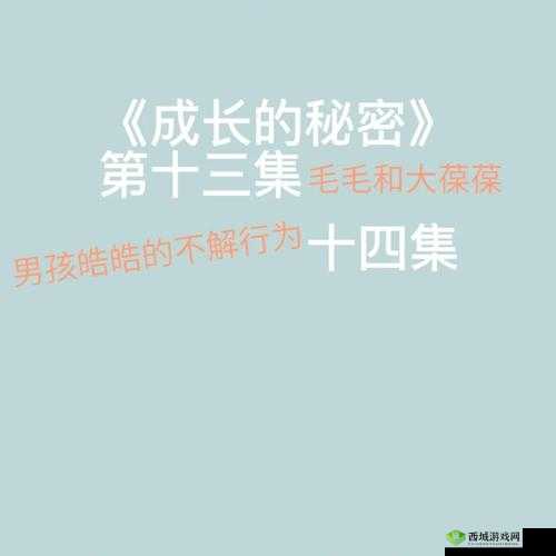 成长的秘密毛毛葆葆观察记录：对其成长过程的详细分析与思考