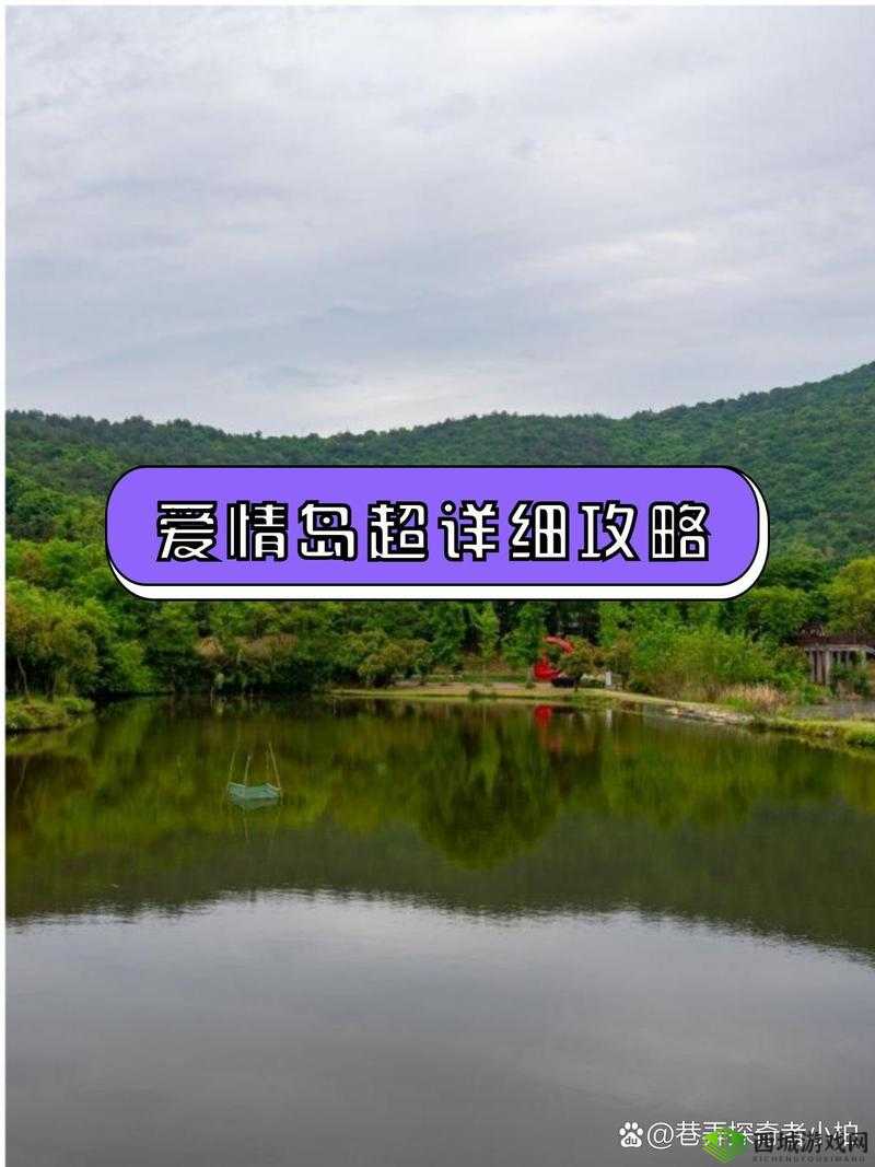 爱情岛独家论坛-一个充满浪漫与情感交流的温馨家园