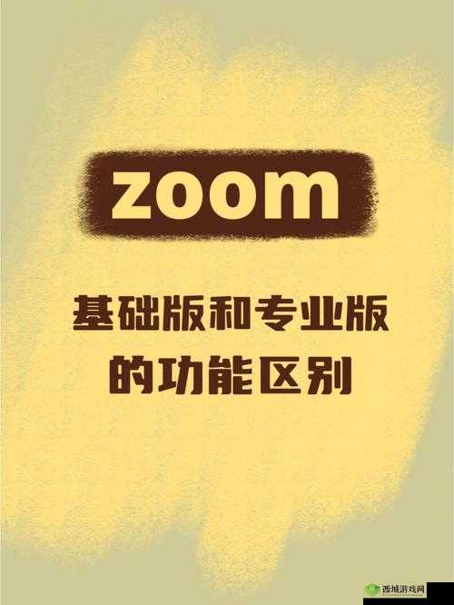 Zoom 与人性 Zoom 的区别之深入分析与探讨