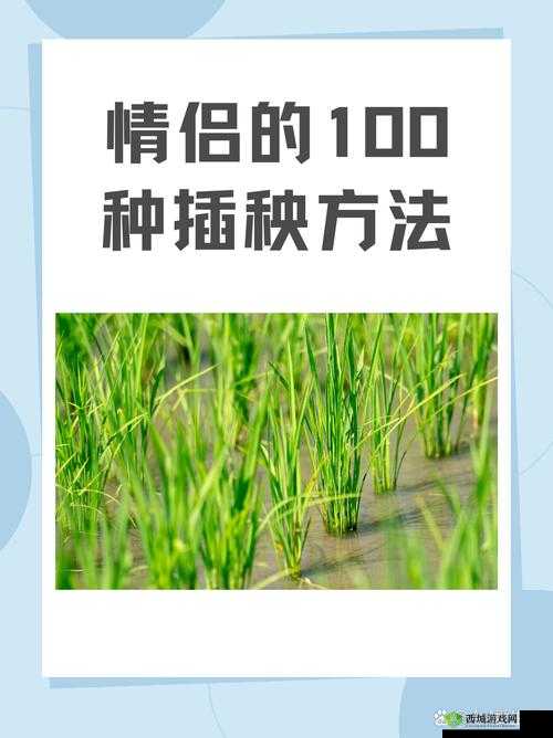 夫妻之间的 100 种插秧法：深度探索夫妻协作的农耕妙方