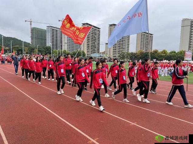 超级凌乱的校园运动会有弹窗混乱中的乐趣之别样体验与独特记忆