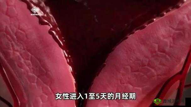 女性发情期的症状表现及应对方法