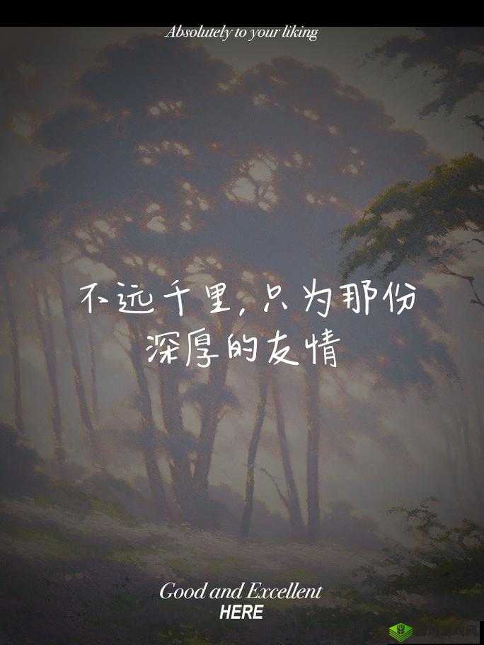 三个人黑白配：一场考验友情与智慧的独特对决