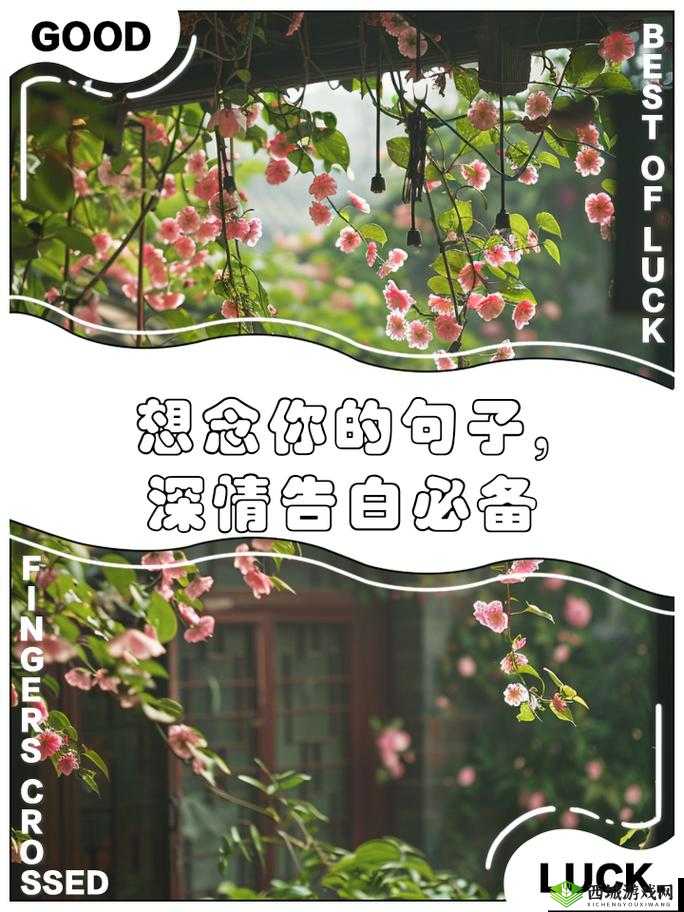 思念如潮水，今夜让我想你到天明