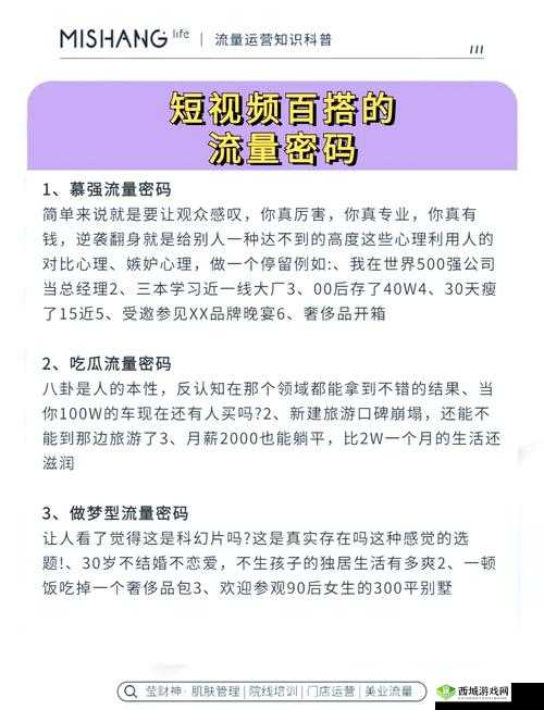 爆款视频的背后：揭秘流量密码