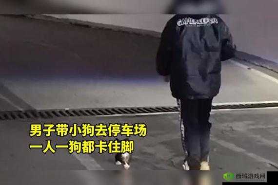 一人一狗卡住 6 小时要紧吗：后续情况及应对措施探讨