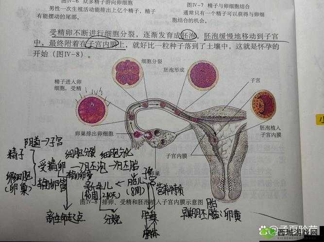 生物课当着全班人的面做到高网传增加收费限制，平台：保护个人隐私和知识版权的必要举措