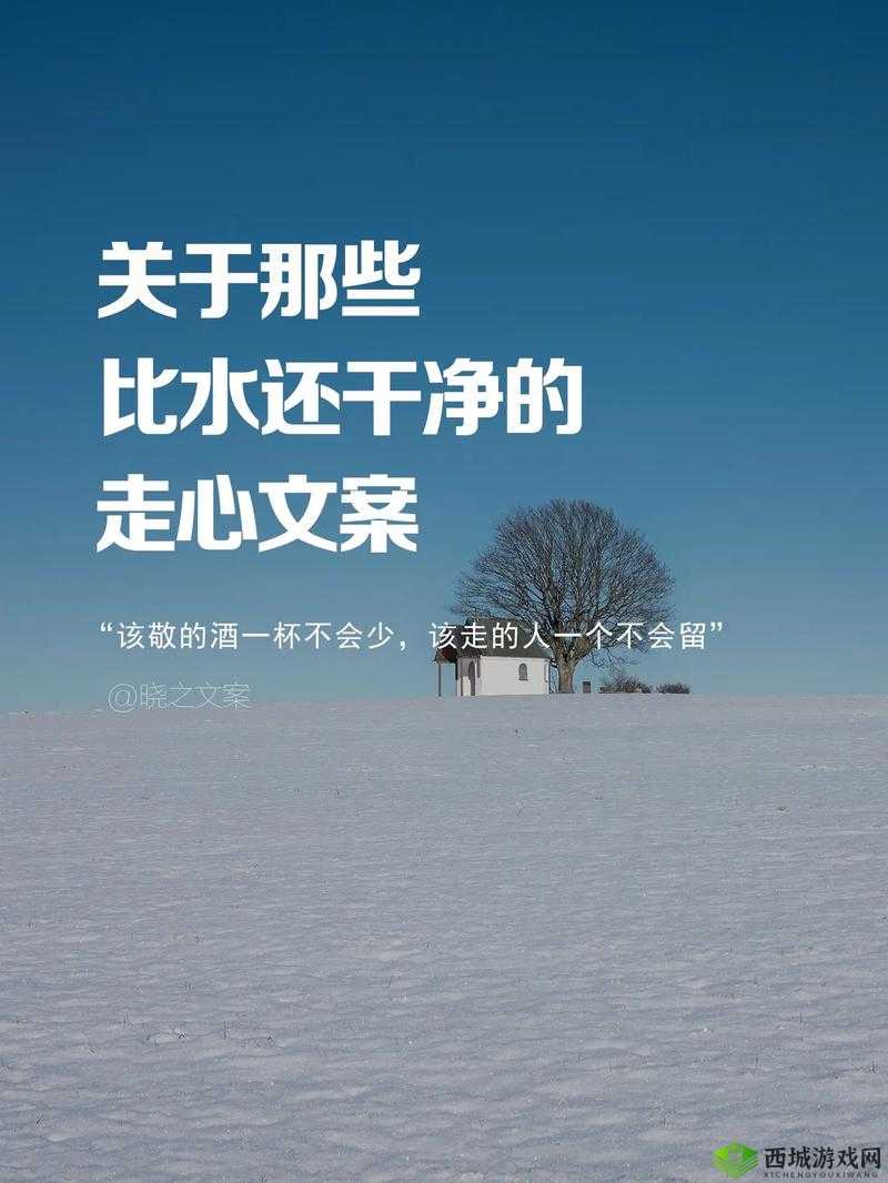 此生相许高干晓之水：一段感人至深的爱情故事就此展开