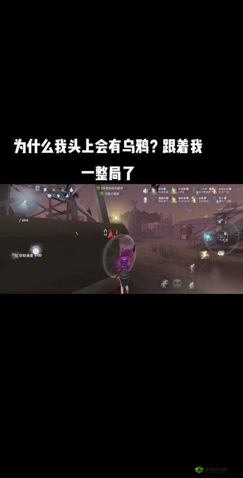 第五人格游戏攻略，掌握高效赶乌鸦技巧，解决乌鸦总在头顶盘旋的烦恼