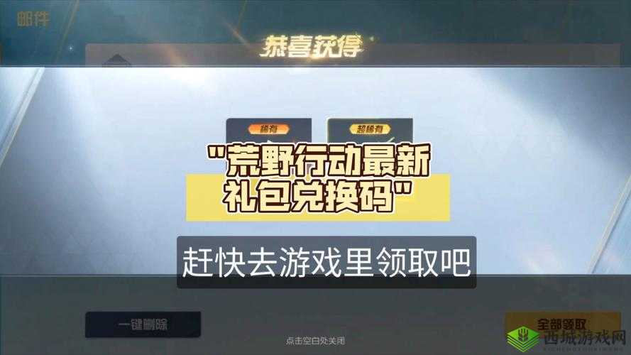 荒野行动游戏获取服务器信息卡顿100%不动问题的高效解决方案