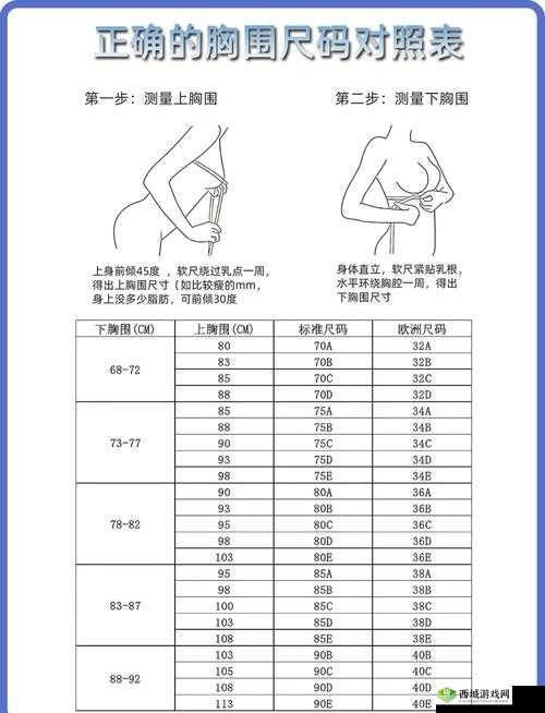 国产尺码和欧洲尺码 2024 升级指南用户应如何正确理解与应用