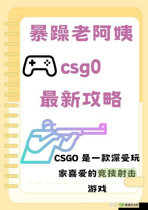 CSGO 暴躁小阿姨：教你成为游戏大神