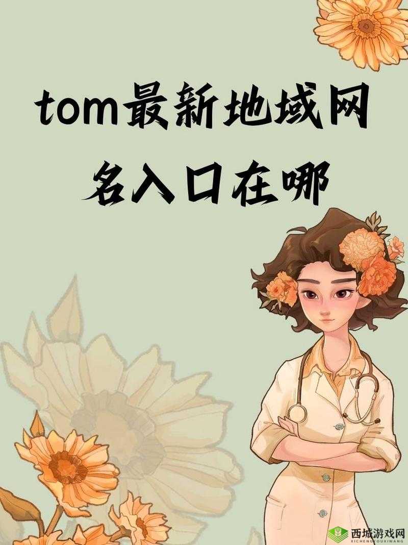 tom永久地域网名入口在哪？全面解析如何快速找到tom永久地域网名的准确入口