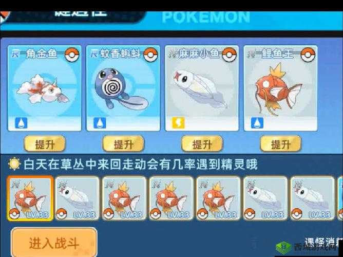 如何在Pokemmo中完美搭配暴鲤龙技能，打造无敌战斗巨兽？